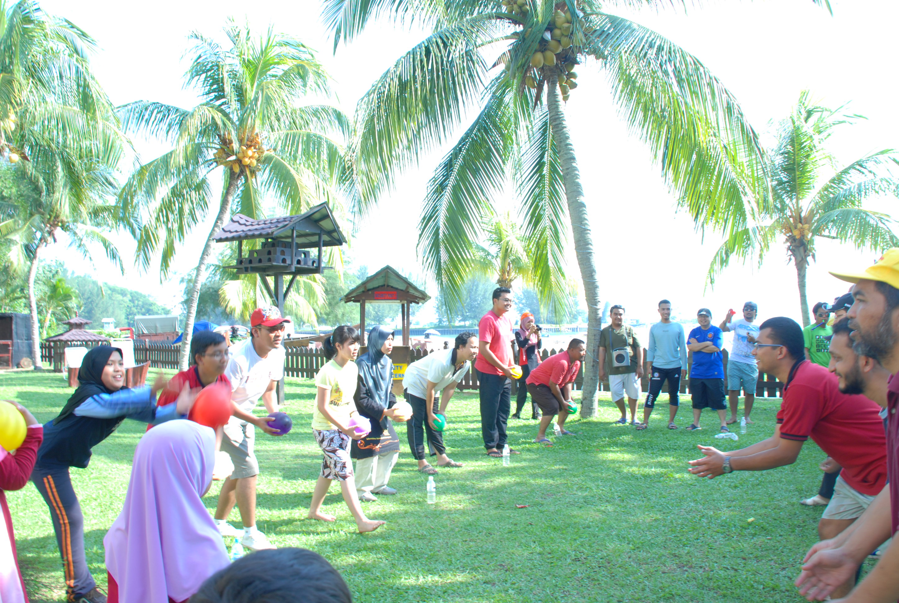 DSC 0800